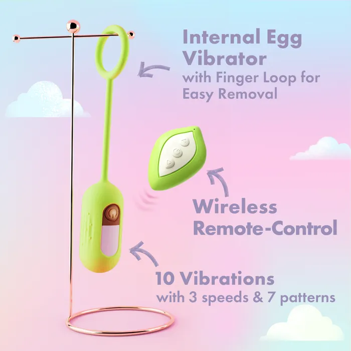 Play With Me By Blush Blooming Bliss 4 Piece Set Mini Clitoral Wand Egg Vibrator With Wireless Remote USB Charging Case Blush Female Sex Toys